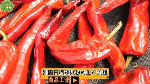 国产辣椒视频,国产辣椒视频带你领略舌尖上的中国