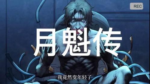 国产下饭动漫解说视频,笑料与泪点的交织之旅