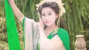 国产视频绿衣小君图解,国产动画的奇幻之旅  第2张