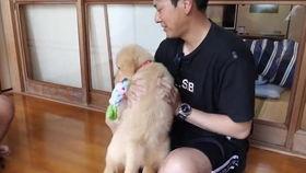 国产小视频.zip,揭秘国内短视频领域的魅力与趋势 第3张 国产小视频.zip,揭秘国内短视频领域的魅力与趋势 第3张