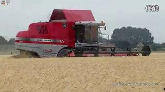 国产收割机作业视频欣赏,高效农业机械化新篇章  第2张