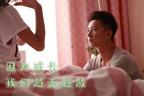 现代情感电影国产解说视频,共鸣与泪水的交织之旅  第1张