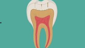 补牙齿视频国产 第3张 补牙齿视频国产 第3张